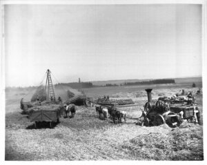 Farm equipment and horses working in a field, historical black-and-white photograph.