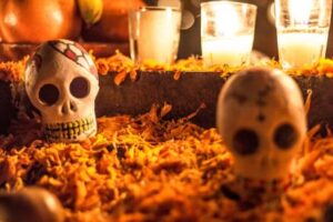 Decorative skulls placed among autumn leaves and candles for a Halloween display at Hawthorne Historical Society.