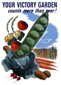An illustration of a victory garden with vegetables like peas, tomatoes, carrots, and potatoes, symbolizing growth and community resilience.
