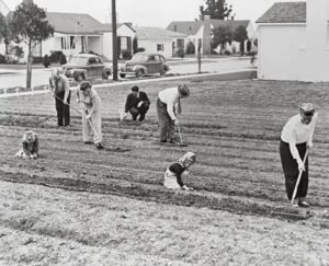 Historical community members planting garden in Hawthorne, California.