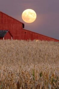 Full moon rising over a red barn with a golden field in the foreground, capturing a peaceful rural night scene for Hawthorne Historical Society.