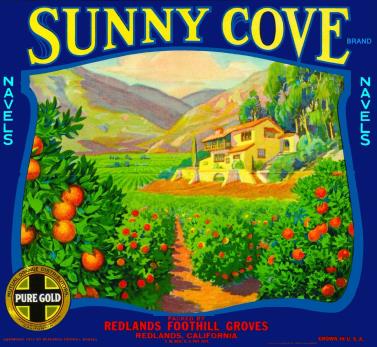 Scenic view of Sunny Cove apple orchard with lush trees and mountains in the background, promoting Hawthorne Historical Society's local heritage.