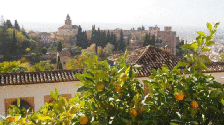 A scenic view of Hawthorne Historic District with orange trees in the foreground and historic buildings in the background, showcasing the area's rich history and vibrant community.