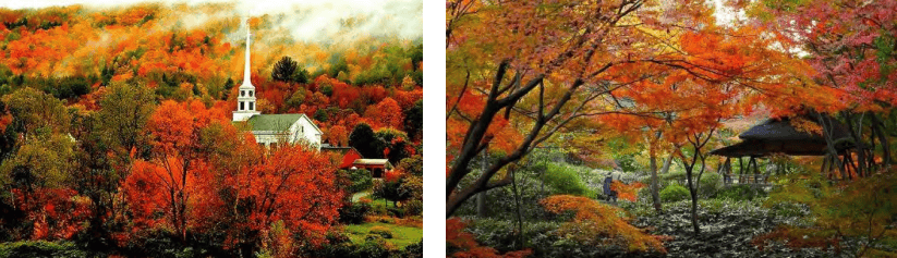 Beautiful autumn landscape with vibrant fall colors in Hawthorne, highlighting the town's scenic beauty.