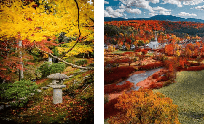 Scenic view of vibrant autumn leaves in Hawthorne, showcasing colorful fall foliage and historic landscape features.