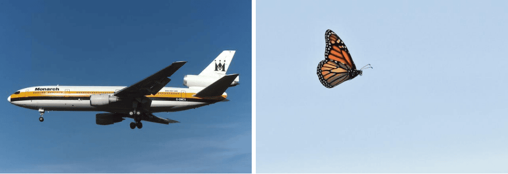 Airplane and butterfly against blue sky, symbolizing travel and nature themes for Hawthorne Historical Society's November 2024 newsletter.